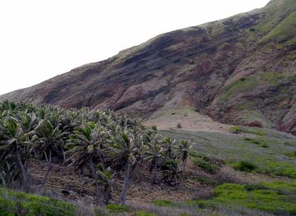 South Alamagan - layered deposits towards top of photo